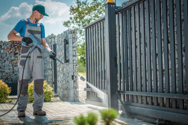 Best Soft Washing  in Eustis, FL