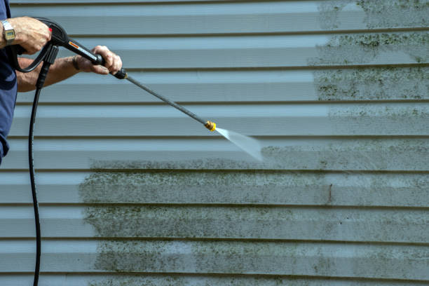 Best Residential Exterior Washing  in Eustis, FL