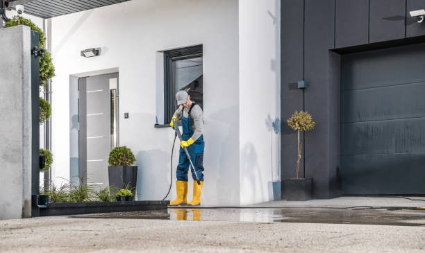 Best Factory Floor Cleaning  in Eustis, FL